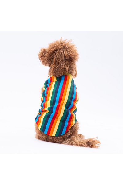 Pettrend Colorful Striped Cat Dog T-Shirt - Cat Dog Outfit