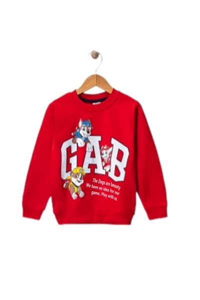 diamondstar Boy's Crew Neck Printed Sweatshirt