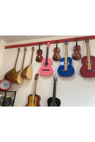 gonzales öğrenci gitarı