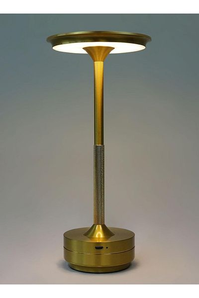 Taimi Rechargeable Color Changing LED Desk Lamp, Dimmable, Wireless, 1800mAh, Gold