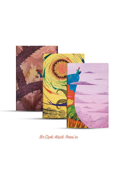 Vak Vak Yayınları Quack, a Flower: the Little Prince's 3-Piece Notebook Set-Dalquistan Çetinkaya-Unlined-192 Pages-14X21Cm