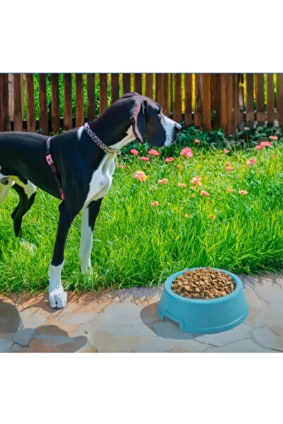 Marsilyan Mikopet Durable 2.5 Liter Food Container for Large Breeds Ilkelgrp-...