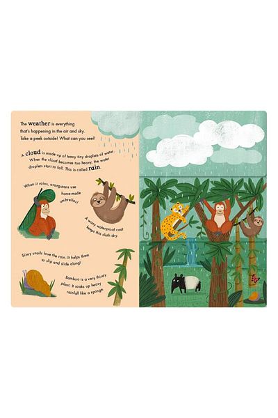 LITTLE TIGER Rain And Shine - A Flip-flap Book Of Weather