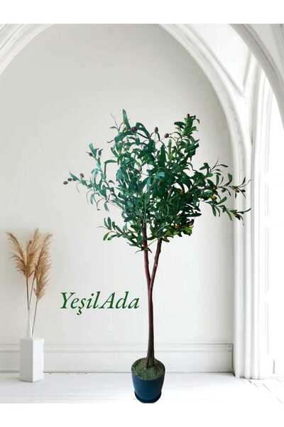 YEŞİLADA Yapay Zeytin Ağacı Barış Sembolü Zeytindalı Ağacı 150 Cm Boy Doğal G...