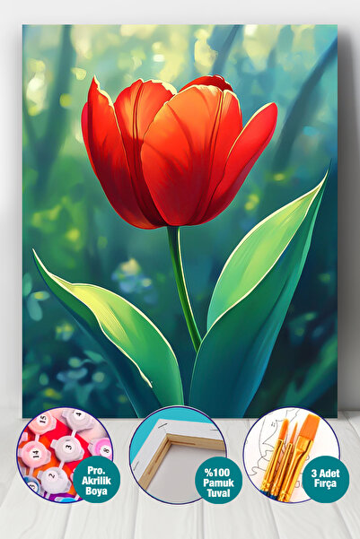 Picasso World Hobby Art Sayılarla Boyama Numaralı Tuval Seti Fırça Boya Dahil...