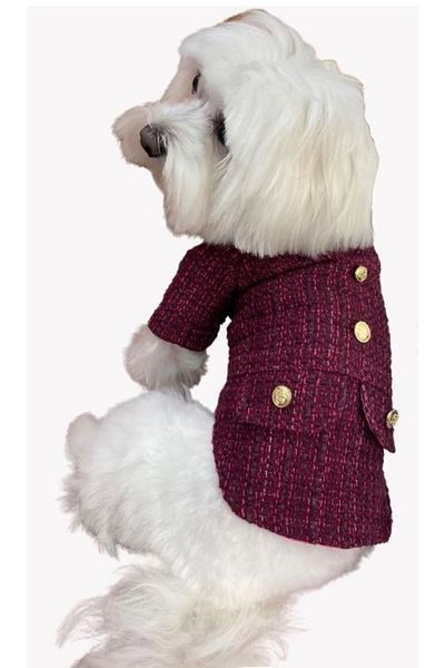 hepsipatili Claret Red Tweed Small Breed Dog Jacket