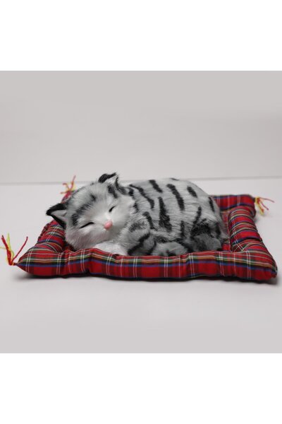 Piraye Gift Minderde  Yatan Sevimli  Gri Kedi