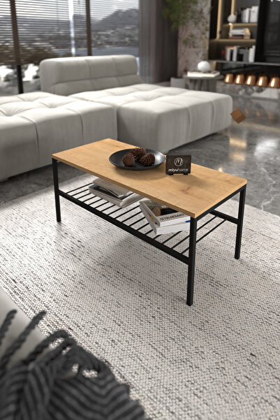 moniev 2 Raflı Metal Orta Sehpa Dekoratif Sehpa Lüx Metal Raflı Sehpa İki Katlı Salon Sehpa