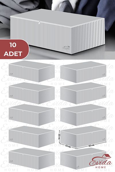 Evida 10 Pieces Anthracite Striped Large Size Organizer - 65X45X22 cm - under Bed and Sofa Bed Storage