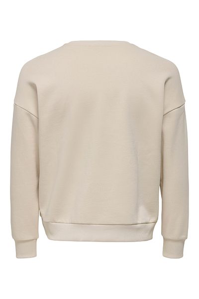 ONLY ONLWALLIS L/S O-NECK PRINT BOX CS SWT
