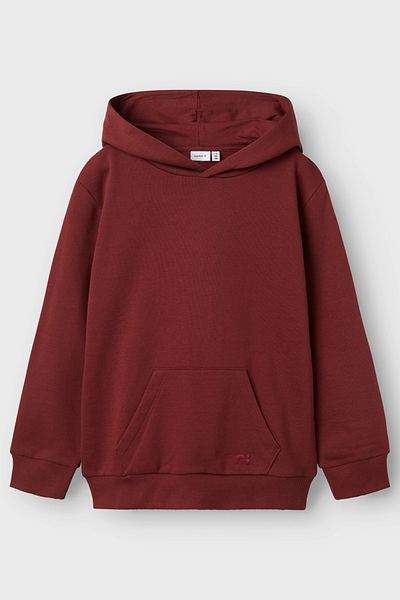Name it Hoodie Regular Fit