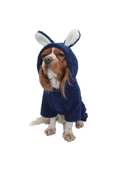 Pawstar Navy Blue Tapeti Cat Dog Jumpsuit Cat Dog Outfit