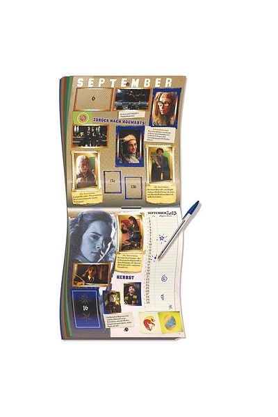 Panini Harry Potter 004387 Af a Year at Hogwarts Album