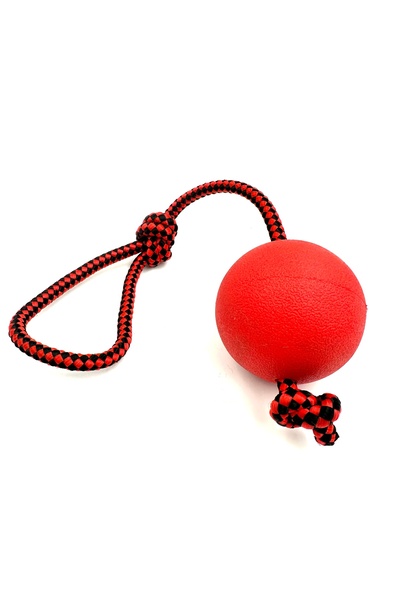 Tasma Market 7.6CM Tutma Kulplu Isırma Çekiştirme Sert Köpek Oyun Eğitim Topu