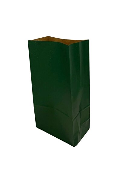 arminow YILBAŞI NOEL YEŞİL RENK KESE KAĞIDI + FİYONK SÜS - HEDİYE POŞETİ SET - 2 ADET - Ç056