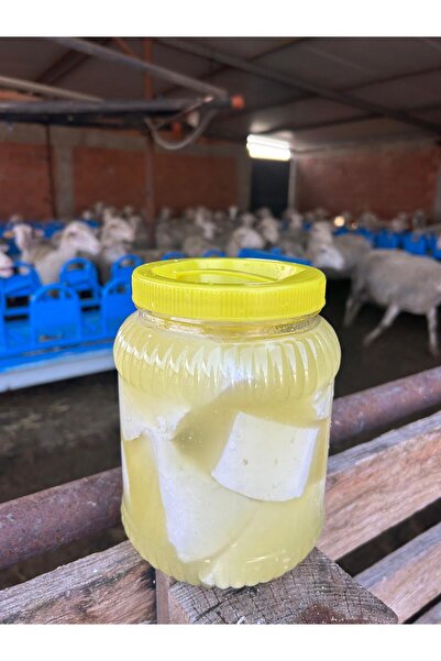 Moss Balıkesir Yöresi Tam Yağlı Katkısız %100 Organik Koyun Peyniri 1.5 Kg Ku...