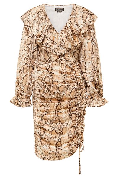 Faina Kleid mit Snakeprint
