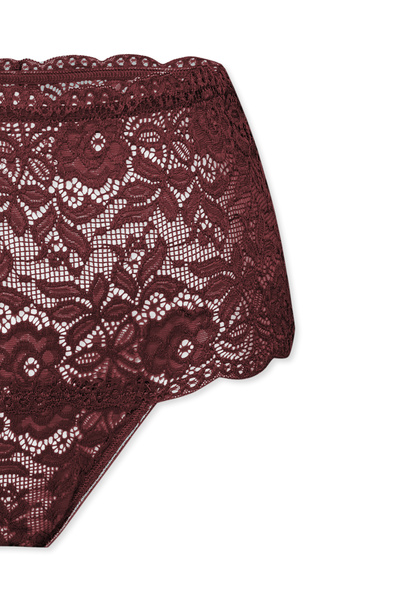 HNX Dantelli Yüksek Bel Büyük Beden Kadın Külot