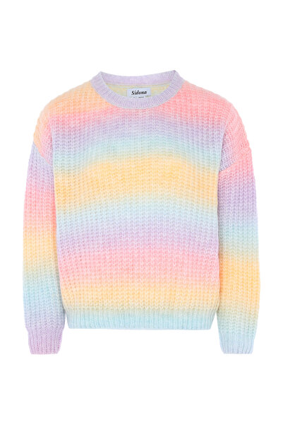 USHA Sweater