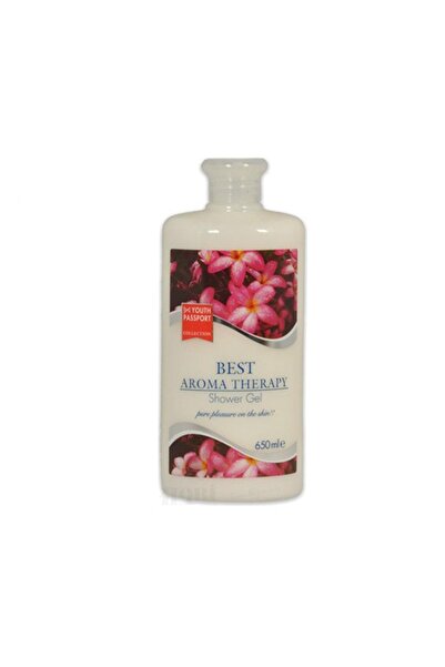 Youth Passport Secret Duş Jeli 650 ml