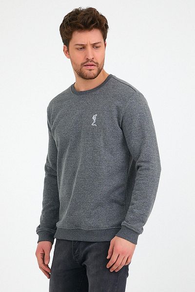 Polo State Мъжки суитшърт с бродирана яка и кръгла яка, стандартна кройка, 3 нишки, памучен плат