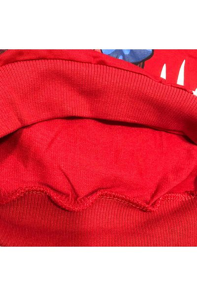 bakyaa Boy's Character Two Thread Bottom Top Suit