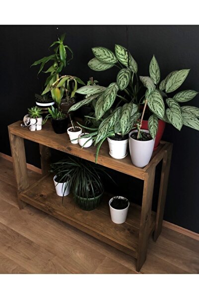 O&A WOOD 2 Katlı Doğal Ahşap Çiçeklik, Koyu Meşe Masif Saksı Standı