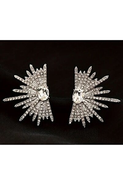 Dgt Luxury Stainless Steel Elegant Light Throwing Earrings-Ear Pin