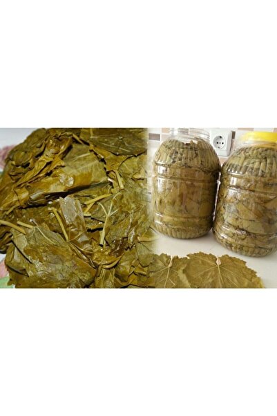 Tokat 2025 Yeni Mahsul Salamura Asma Yaprak Orta Boy 5 Kg -net 3 Kg