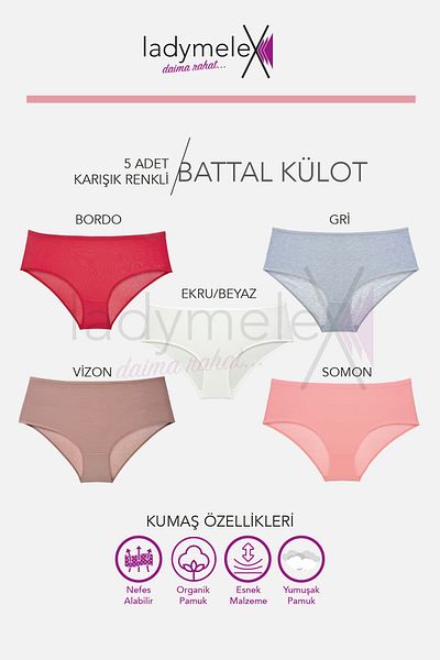 LadyMelex Chiloți pentru femei, chiloți supradimensionați, 5 bucăți, mixte, culori moi