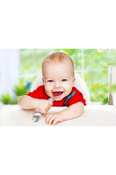 Babyjem Stainless Steel Fork Spoon Set 522 Gray