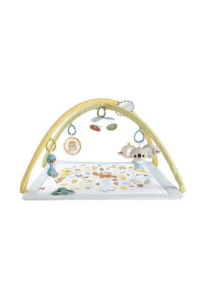 FISHER PRICE SALTELUTA DE ACTIVITATI