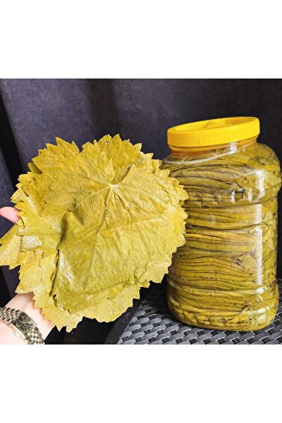 Lika Tokat Erbaa Salamura Asma Yaprağı Sapsız 5 Kg