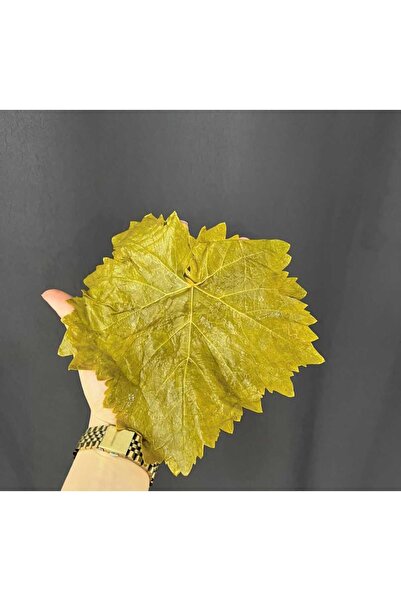 Lika Tokat Erbaa Salamura Asma Yaprağı Sapsız 5 Kg