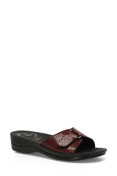 Polaris 607171 Papuci de damă.Z Claret Red
