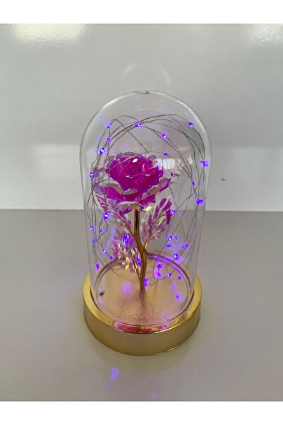 rkm store Özel Günler İçin Hediyelik Dekoratif Solmayan Sonsuzluk Pembe Güllü...