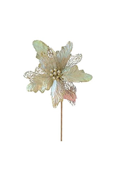 Partioutlet Krem Atatürk Çiçeği