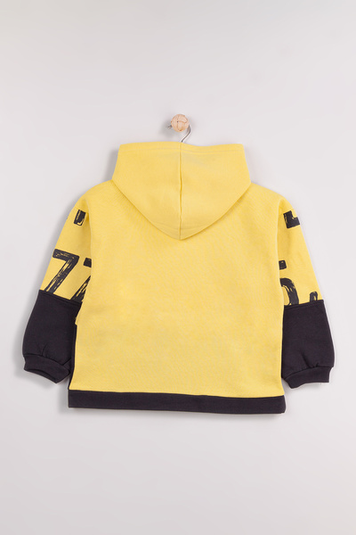 Harika KIDS Erkek Çocuk Kalın 2'li Paket Sweatshirt