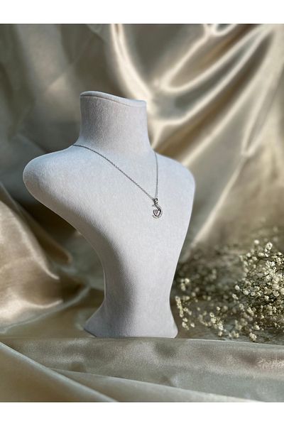 Store 316L Moon Love Silver Color Steel Necklace