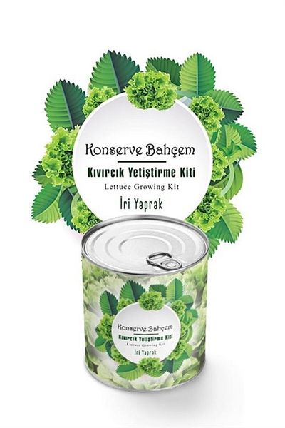 Acousticworld Κονσερβοποιημένο My Garden at Home Κιτ αναπαραγωγής σγουρά με μεγάλα φύλλα σε κονσέρβα