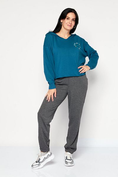 Champion Women Sportswear Fit Embroidered Logo Training Hoodies, Teal Blue