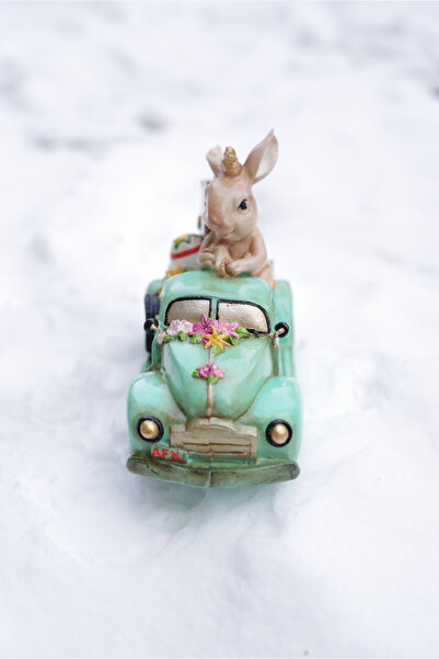 Home Bienco Store Arabalı Tavşan Dekoratif ve Şık Biblo,Obje