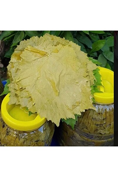 SALAMURA YAPRAK 5 KG