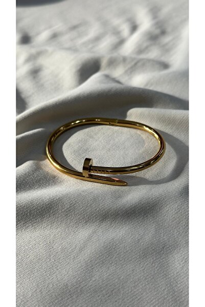 Çelik 316L Çelik Gold Çivi Model Kelepçe