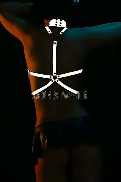 Angels Passion Ανακλαστικό λουρί - Ειδικό σχέδιο στο στήθος