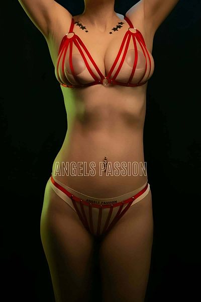 Angels Passion Rubber Bra and Panty Harness Set
