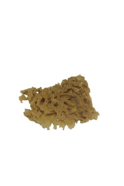 Cenova Art Natural Sea Sponge No:2