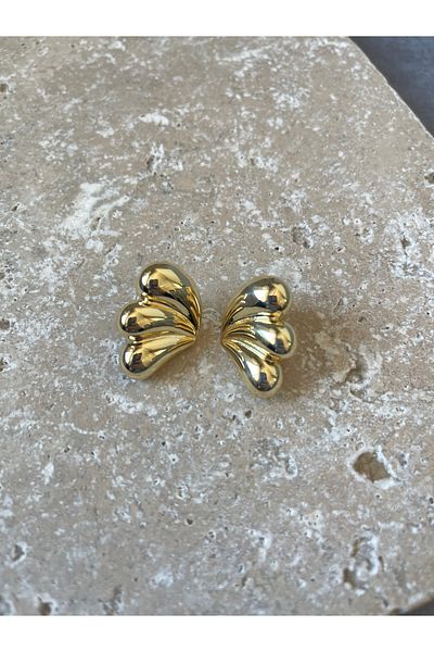 DKY Collection Triple Curved Small Model Earrings/ Steel Earrings / Zr Brand Model / Pinterest Earrings