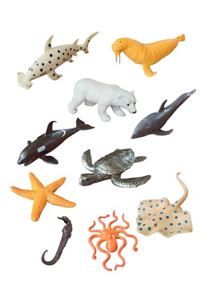 PopŞeker Kutup'tan Okyanus'a Unutulmaz Bir Yolculuk: 10'lu Büyük Boy Deniz ve...