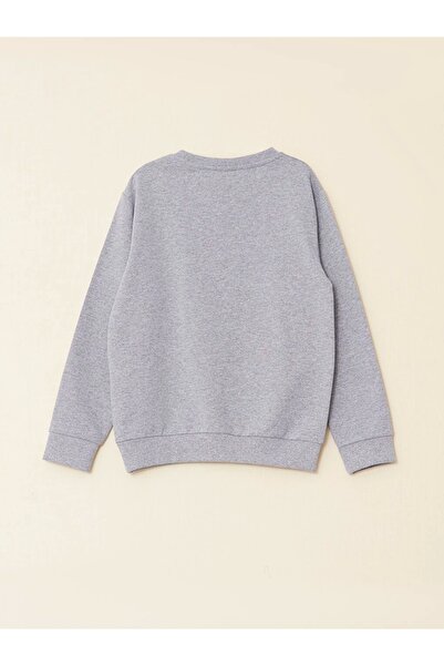LC Waikiki Lcw Kids Gray Crew Neck Printed Long Sleeve Boys Sweatshirt